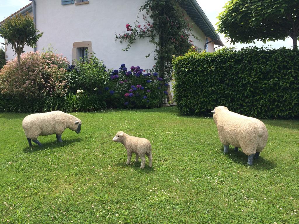 Bed and Breakfast Les Volets Bleus Arcangues Zewnętrze zdjęcie